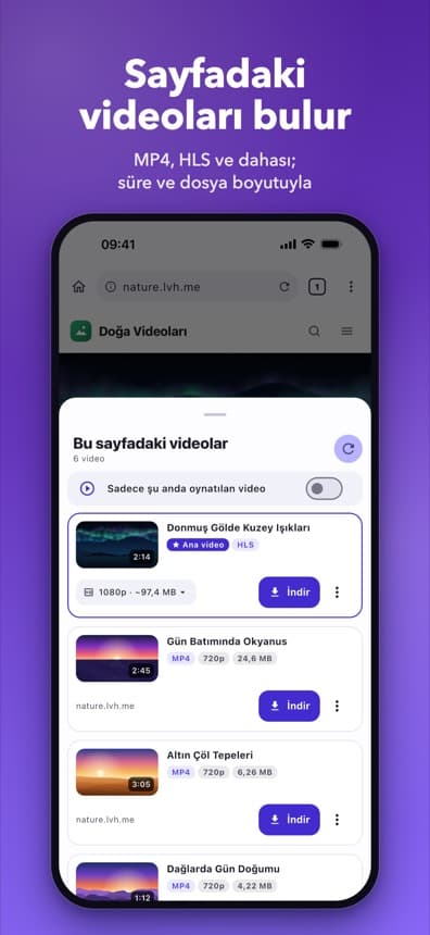 Sayfadaki videoları bulur: kalite ve dosya boyutuyla listelenen videolar